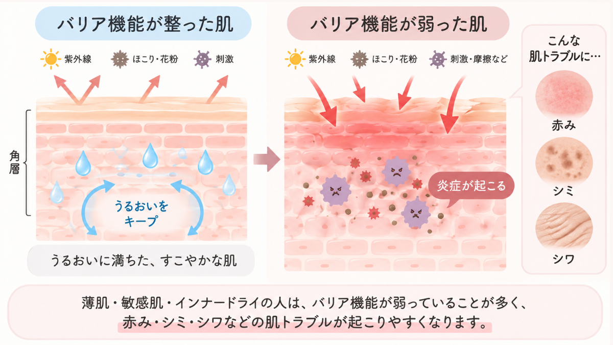 薄肌・敏感肌はバリア機能が弱く炎症が起こりやすい
