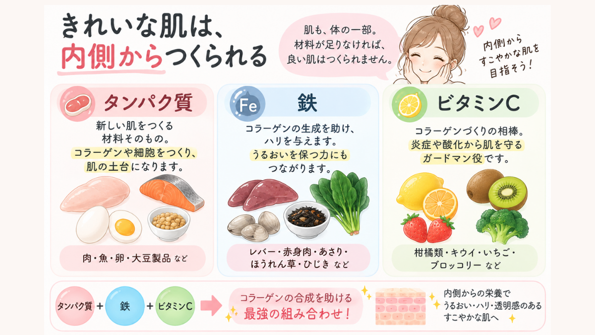 きれいな肌は内側からつくられる
