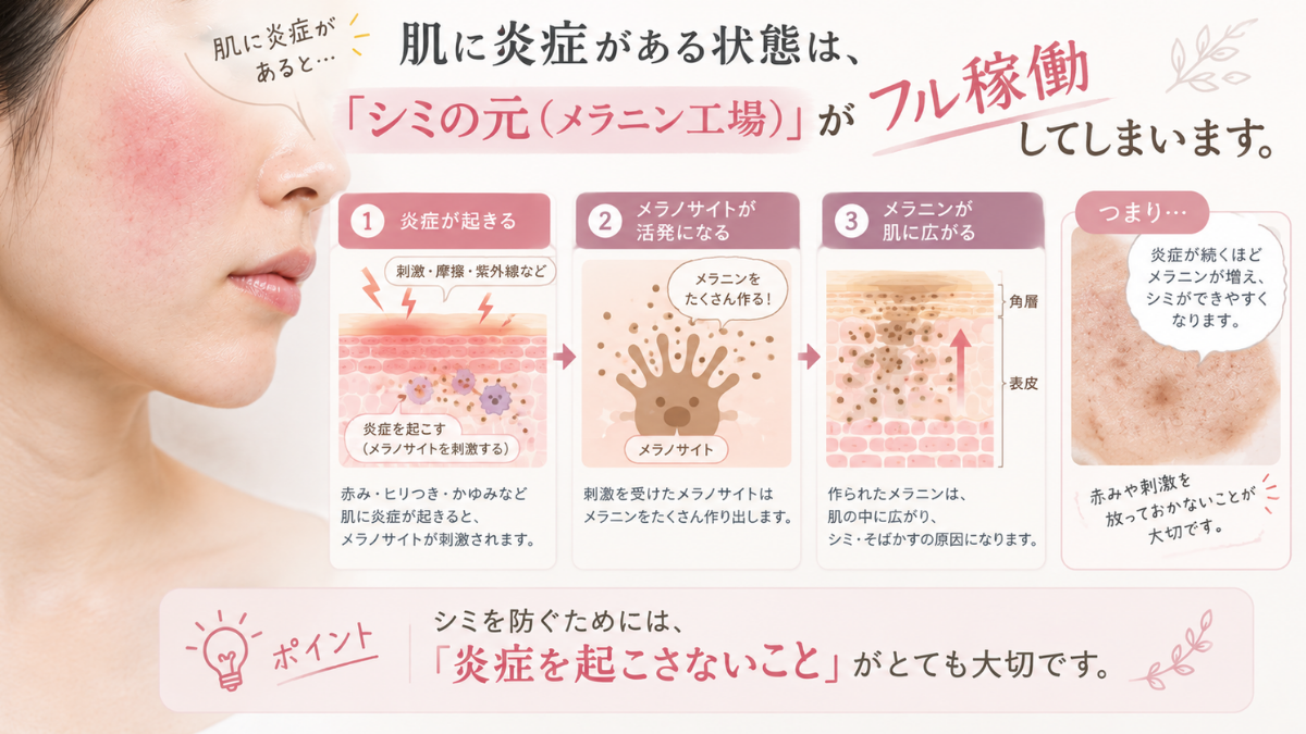 炎症でメラノサイトが活発になりメラニンが増える流れの図解