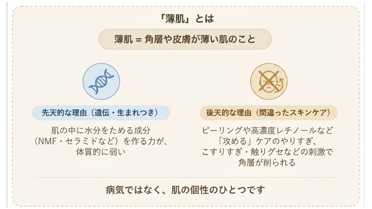 薄肌になる2つの理由。先天的（遺伝・生まれつき）は肌に水分をためる成分をつくる力が体質的に弱いこと、後天的（間違ったスキンケア）はピーリングやこすりすぎで角層が削られること。病気ではなく肌の個性のひとつ